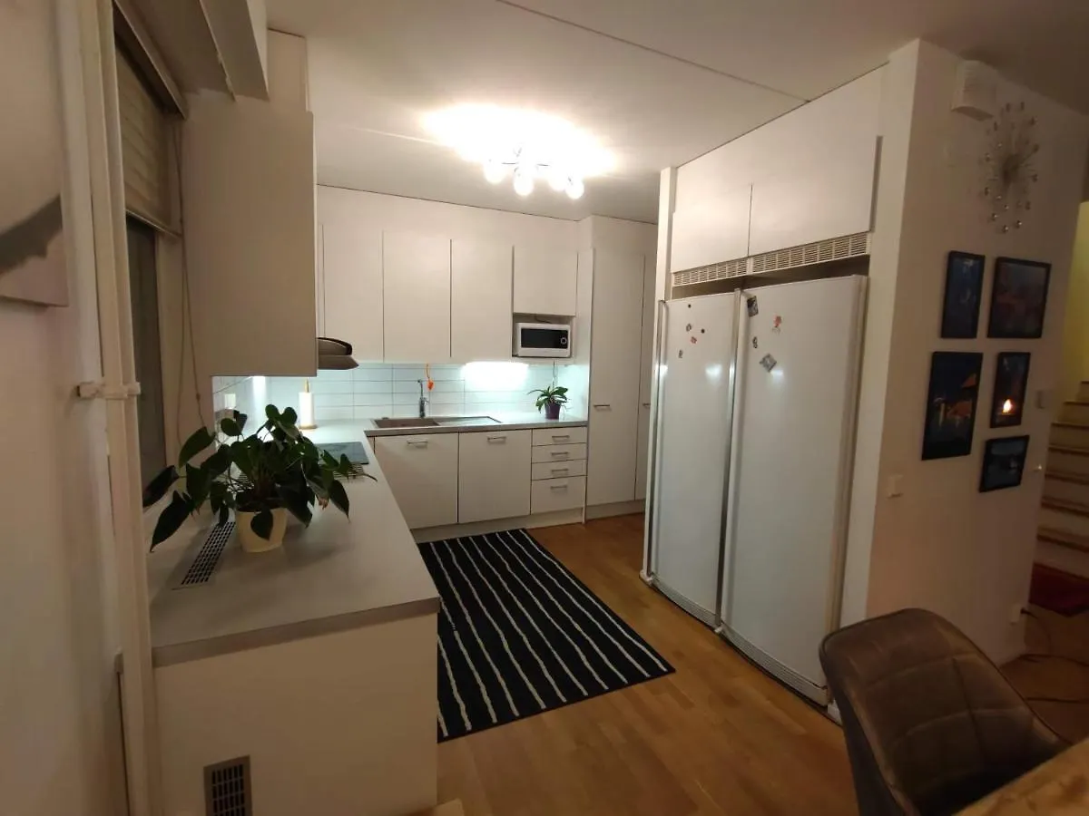 Helsinki Penthouse Near The West Harbor Apartment